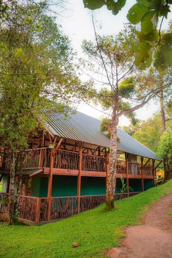 Cinnamon Village Sinharaja Deniyaya Dış mekan fotoğraf