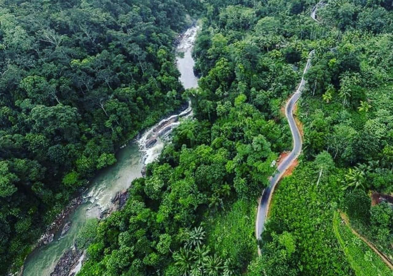 Cinnamon Village Sinharaja Deniyaya Dış mekan fotoğraf