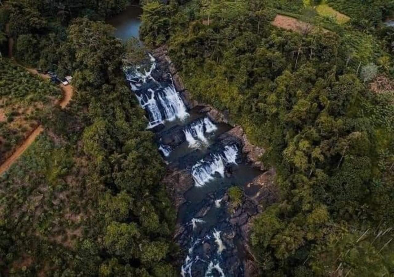 Cinnamon Village Sinharaja Deniyaya Dış mekan fotoğraf