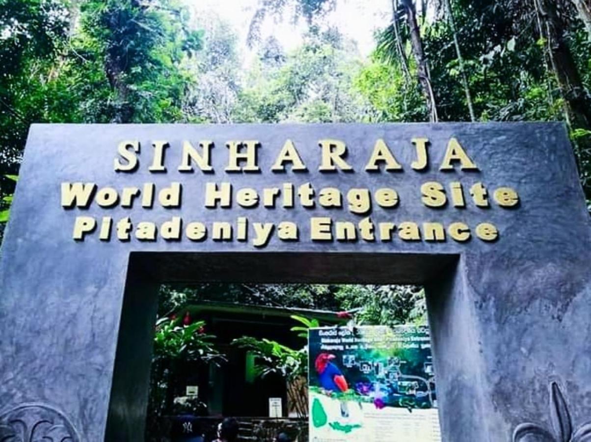 Cinnamon Village Sinharaja Deniyaya Dış mekan fotoğraf