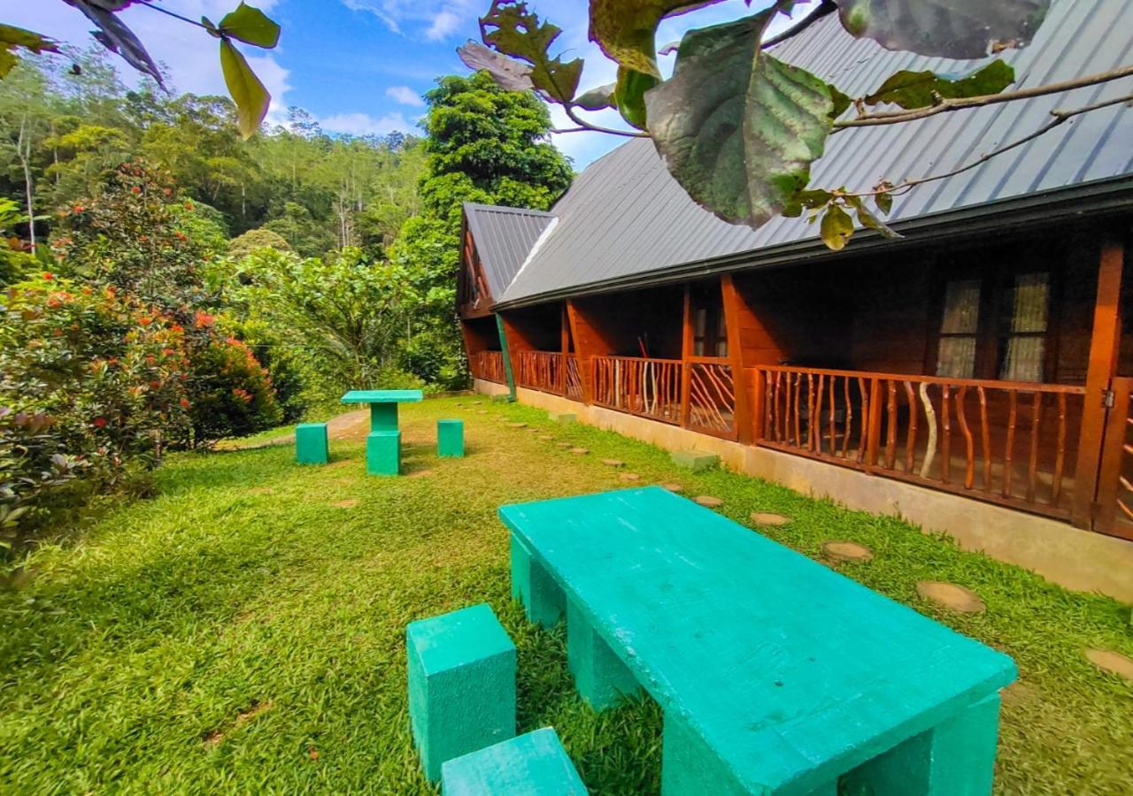 Cinnamon Village Sinharaja Deniyaya Dış mekan fotoğraf