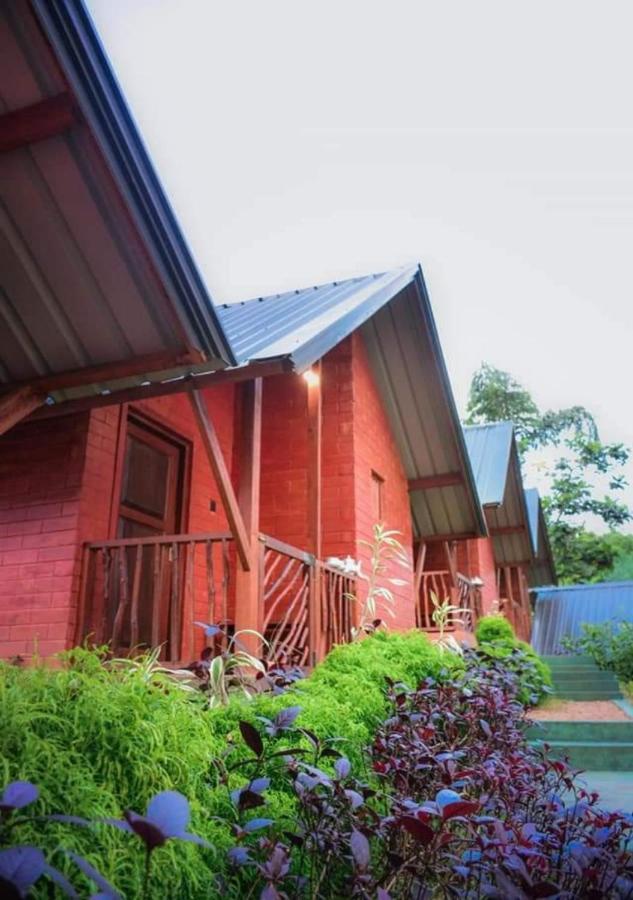 Cinnamon Village Sinharaja Deniyaya Dış mekan fotoğraf