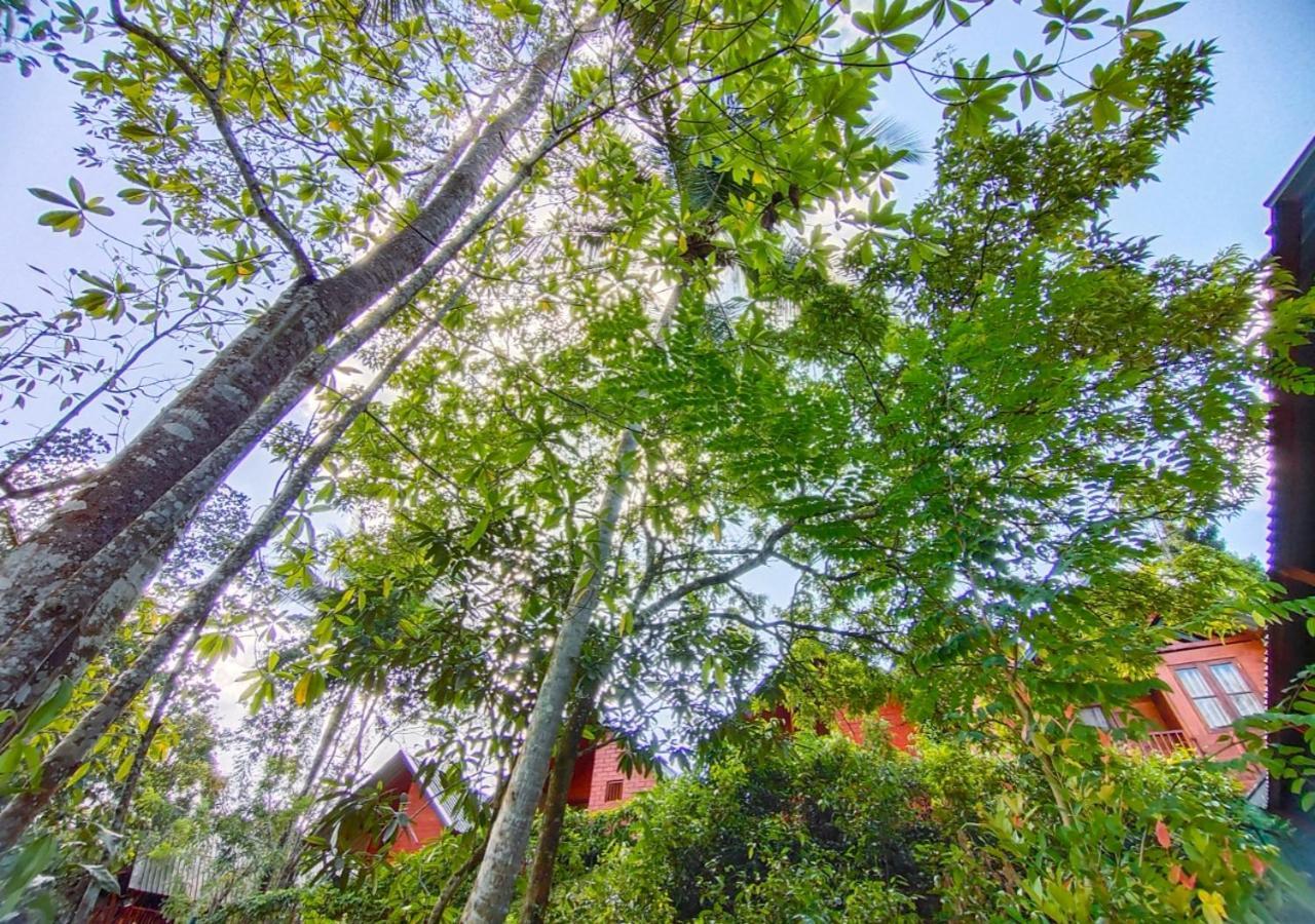 Cinnamon Village Sinharaja Deniyaya Dış mekan fotoğraf
