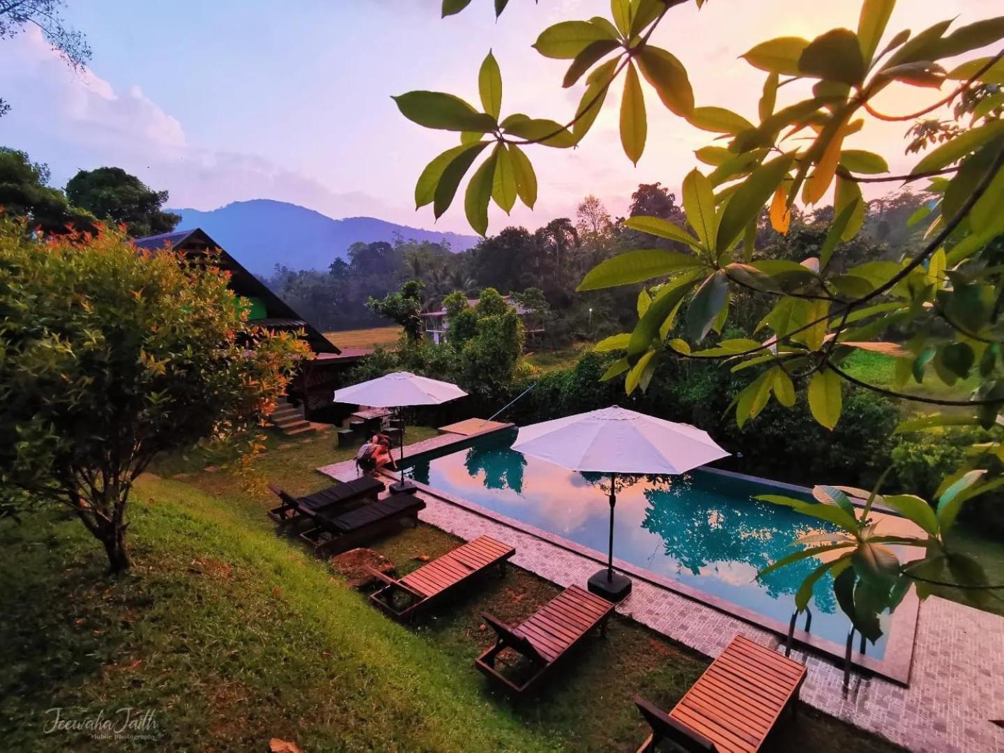 Cinnamon Village Sinharaja Deniyaya Dış mekan fotoğraf