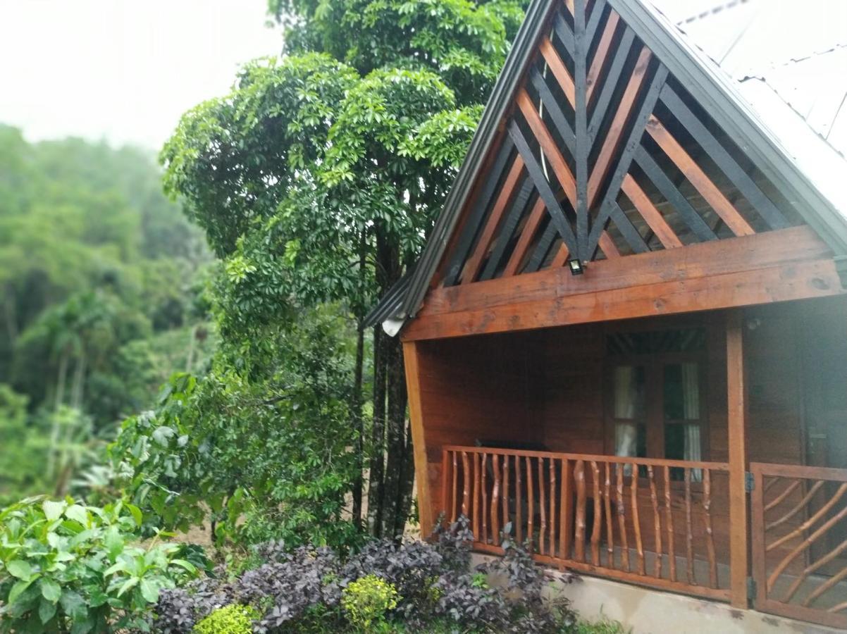 Cinnamon Village Sinharaja Deniyaya Dış mekan fotoğraf