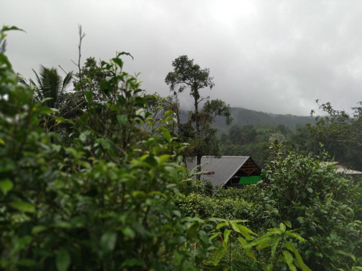 Cinnamon Village Sinharaja Deniyaya Dış mekan fotoğraf
